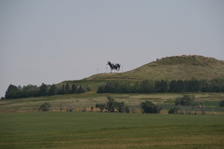 Salem Sue - The World's Largest Cow | Amusing Planet